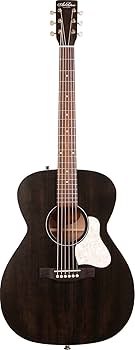 ■Art&Lutherie アート＆ルシアー■アコースティックギター■難あり Art&Lutherie アートアンドルシアー Legacy Q-Discrete Havana
